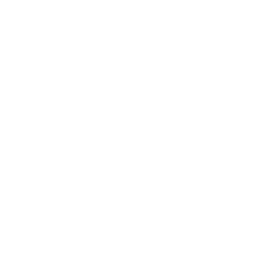 Viterbi School Logo